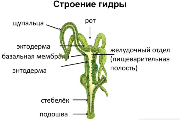 Kraken onion вход