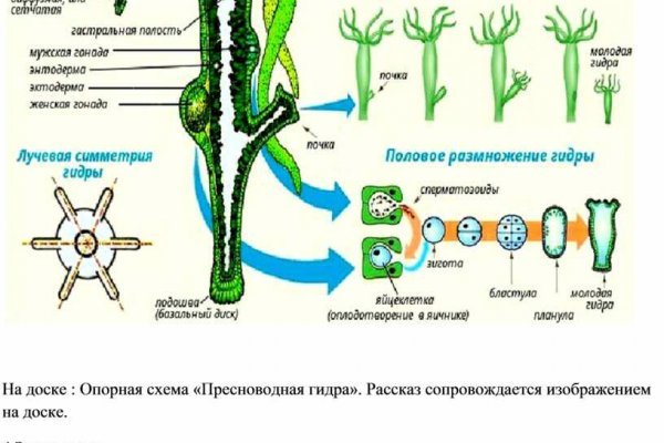 Kraken ссылка kraken clear com