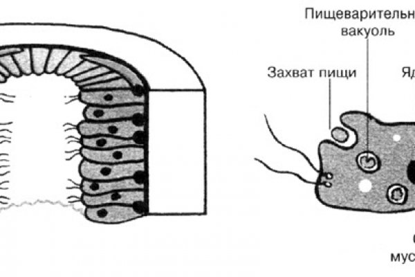 Кракен krk store com